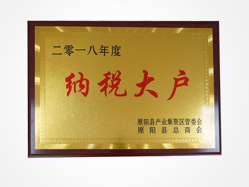 2018纳税大户